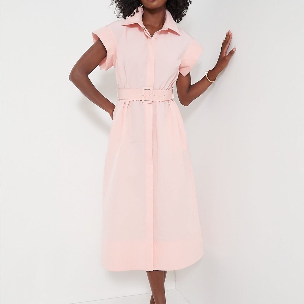 NWT Tuckernuck Chloe Pink Salt Dress